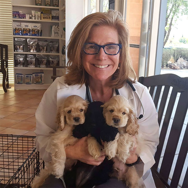 Dr Bridget Stewart holding puppies